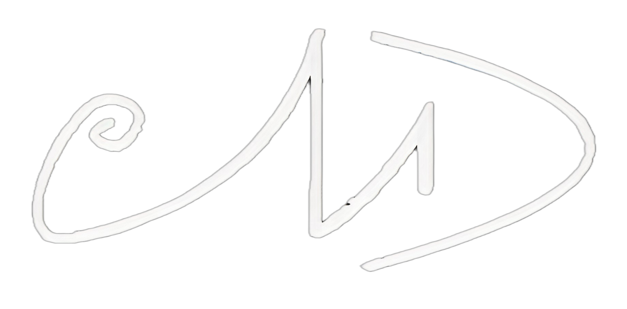 signature of dmitry a. markelov